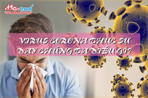 Virus Corona thực sự dạy chúng ta điều gì?